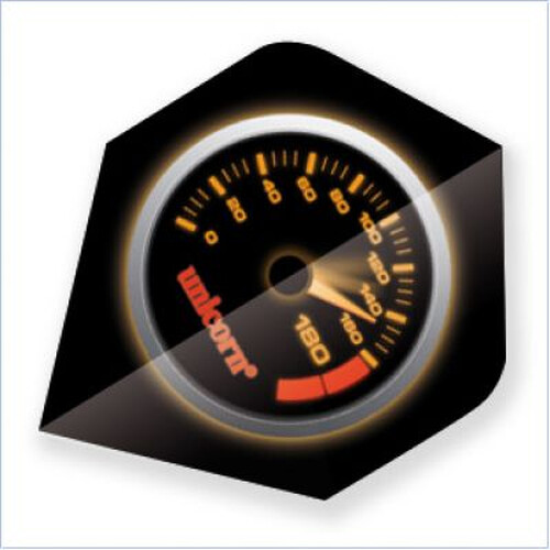 Unicorn Speedo Metallic