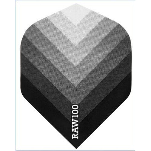 RAW 100 Arrow Black