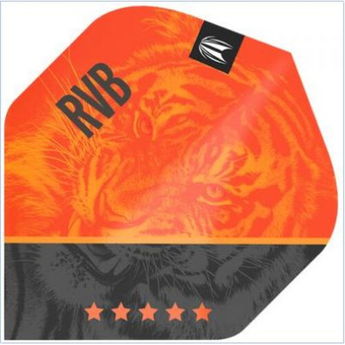 Raymond Van Barneveld - Target Pro GEN4 No2 Dartflights