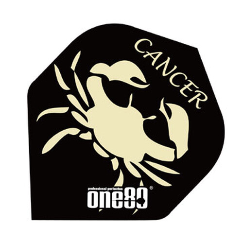 Constellation Flights "Cancer"