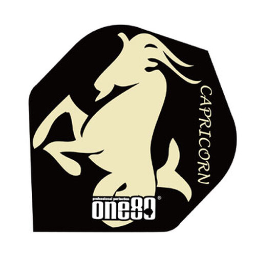 Constellation Flights "Capricorn"