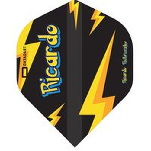 Datadart Flights Ricardo Pietreczko Pikachu BLACK