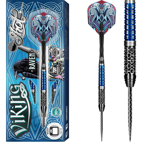 Shot Viking Raven Boris Koltsov Steeldarts
